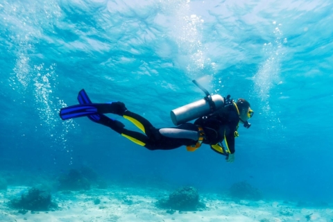 Immersion en plongée sous-marine certifiée à Maroma BeachPlongée sous-marine (1 bouteille)