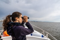 Lisbon, Tagus Estuary Nature Reserve Birdwatching Boat Tour - Housity