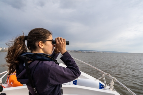 Lisboa: Excursión en barco para observar aves en la reserva natural del Tajo