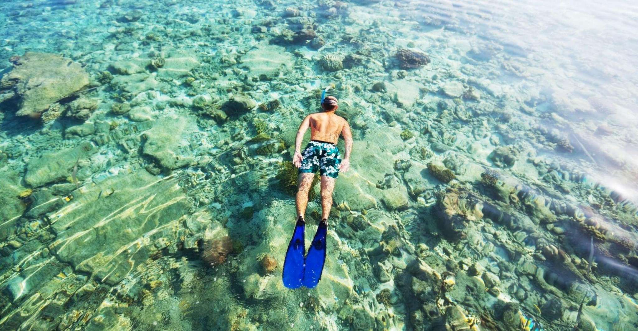 Suitetrails - Boavista, Snorkeling to Shipwreck