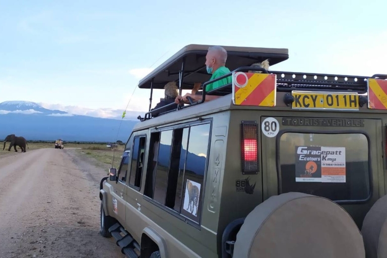 Masai Mara Transfer From Nairobi on 4X4 Land Cruiser Jeep