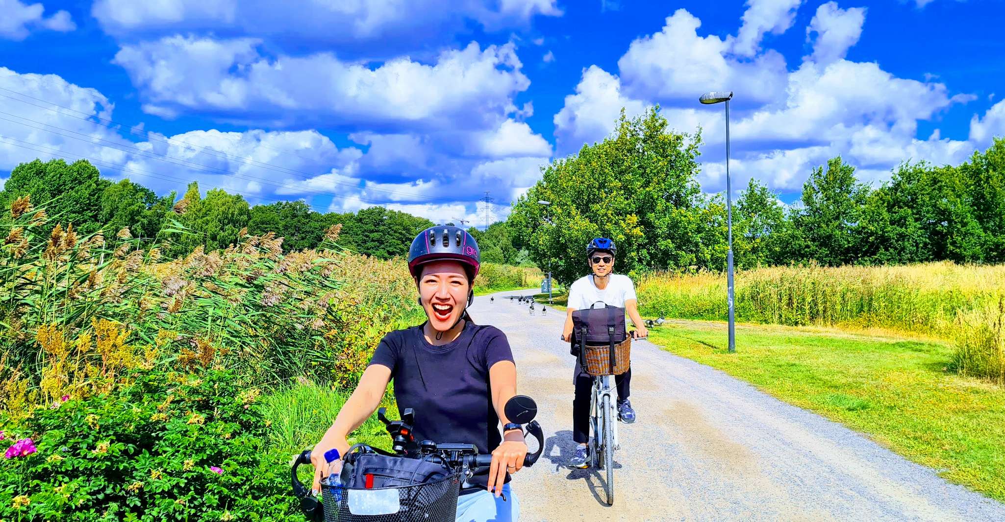Tour op (e)Bike, BBQ, Sauna, bos, Seurasaari & Meilahti - Hizvo