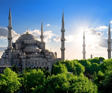Istanbul: Blå moskén guidad tur