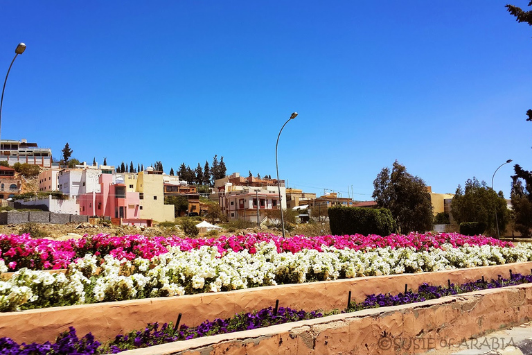 De Jeddah: Excursão de um dia a TaifTour de um dia em Taif