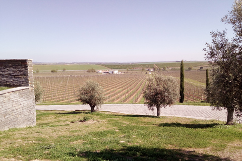 Ville d&#039;Évora et Triangle de l&#039;huile d&#039;olive, du vin et du liègeLa ville d&#039;Évora et le triangle de l&#039;huile d&#039;olive, du vin et du liège