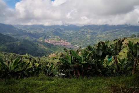 Vanuit Medellín: Jardín Stad en Koffieboerderij Hele Dag Tour