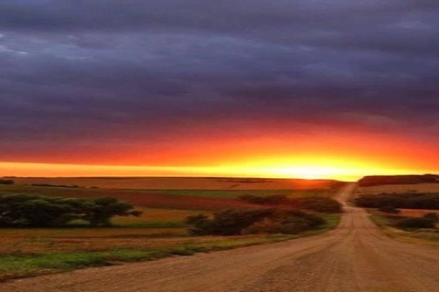 Évora town and the Olive Oil, Wine, and Cork Triangle