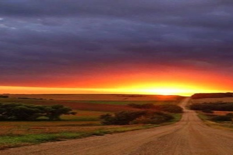 Ville d&#039;Évora et Triangle de l&#039;huile d&#039;olive, du vin et du liègeLa ville d&#039;Évora et le triangle de l&#039;huile d&#039;olive, du vin et du liège