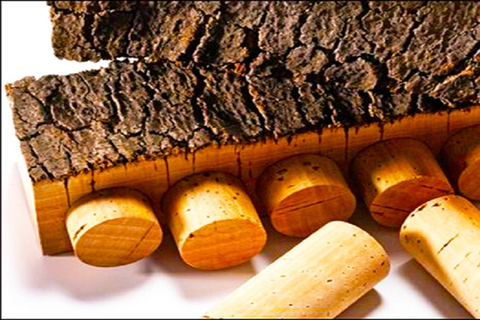 Ville d&#039;Évora et Triangle de l&#039;huile d&#039;olive, du vin et du liègeLa ville d&#039;Évora et le triangle de l&#039;huile d&#039;olive, du vin et du liège