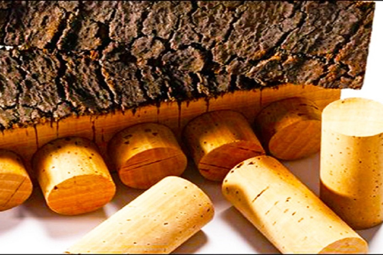 Ville d&#039;Évora et Triangle de l&#039;huile d&#039;olive, du vin et du liègeLa ville d&#039;Évora et le triangle de l&#039;huile d&#039;olive, du vin et du liège