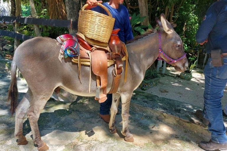 Paseos a caballo en Rancho Bonanza y baño en el Cenote