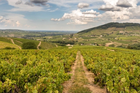 Beaujolais: cata de vinos de medio día desde LyonTour de cata de vinos de medio día