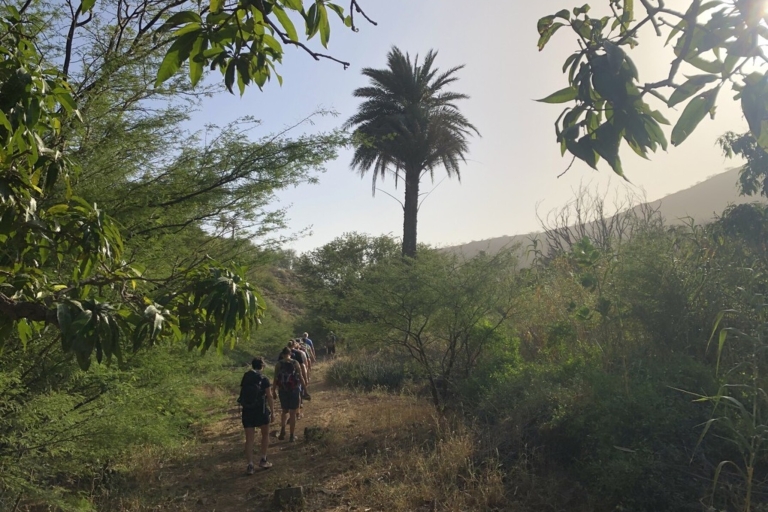 Wandeling naar de oudste baobabboom / endemische vogelKleine groep
