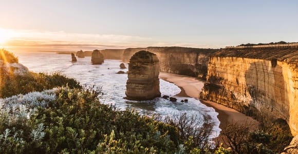 Von Melbourne: Great Ocean Road, 12 Apostel & Koalas