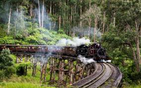 From Melbourne: Puffing Billy Steam Train & Wildlife Tour