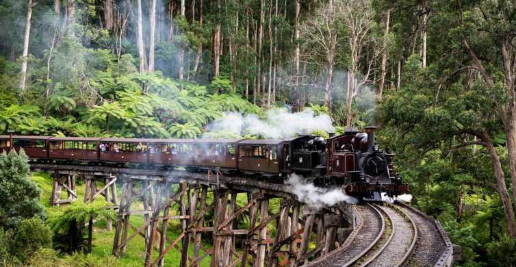 From Melbourne: Puffing Billy Steam Train & Wildlife Tour | GetYourGuide