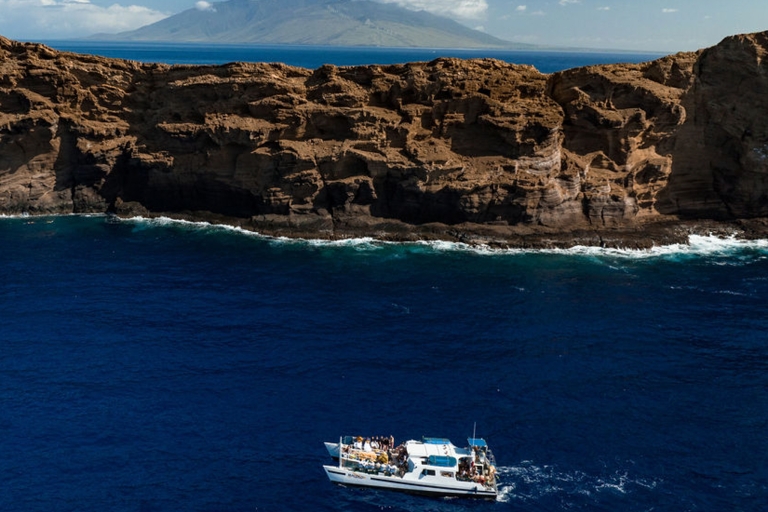 Maui : Molokini et ville des tortues avec repas et plongée