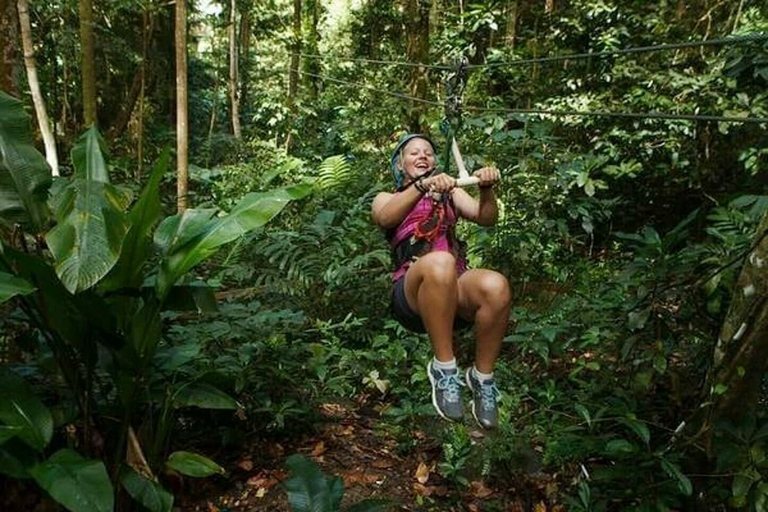 Babonneau/Castries: Rainforest Zip Line, Tram, and Hike Tour