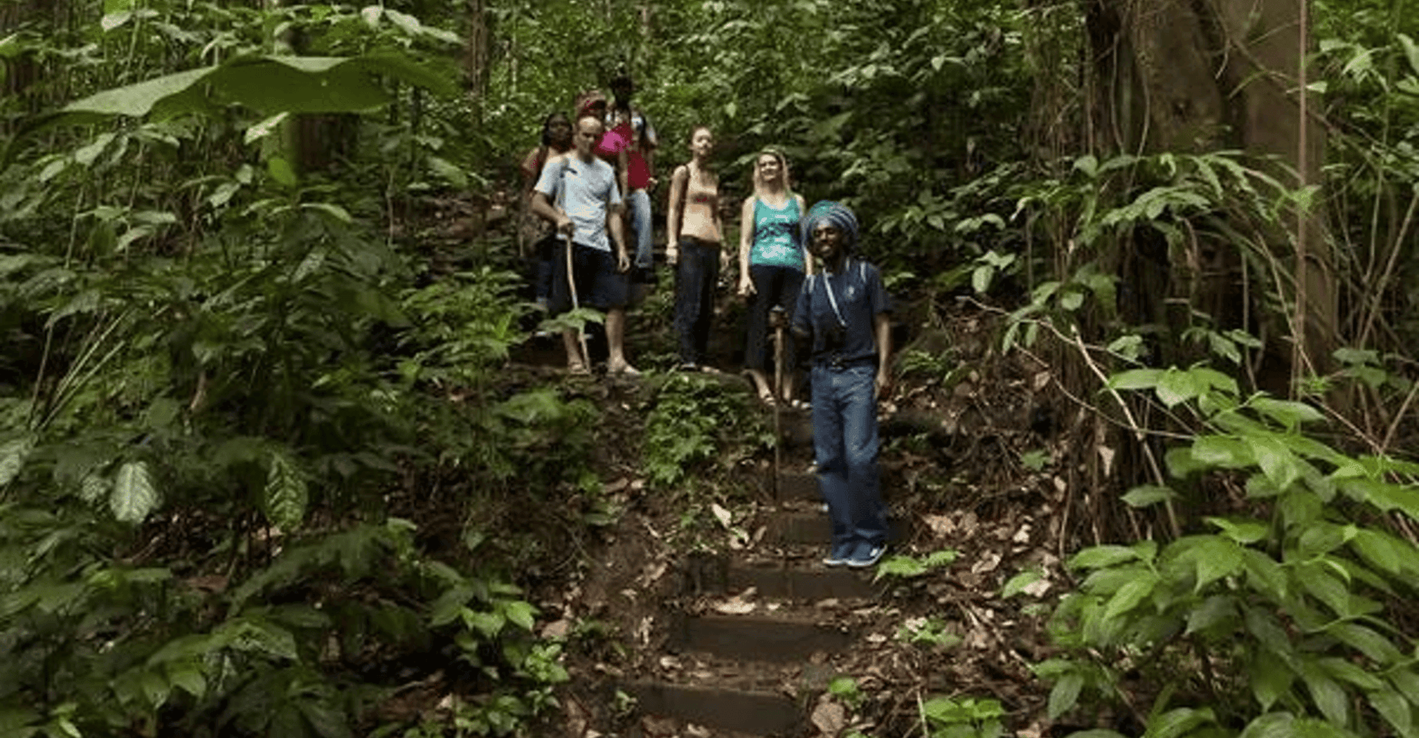 Babonneau/Castries, Rainforest Zip Line, Tram, and Hike Tour - Housity