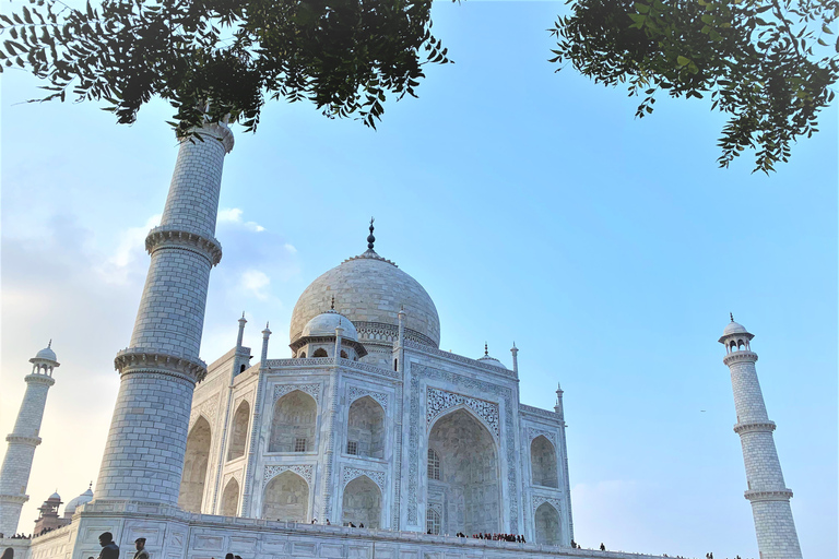 Agra: Tour particular sem fila ao Taj Mahal e ao Forte de AgraÚnico guia profissional para o Taj Mahal