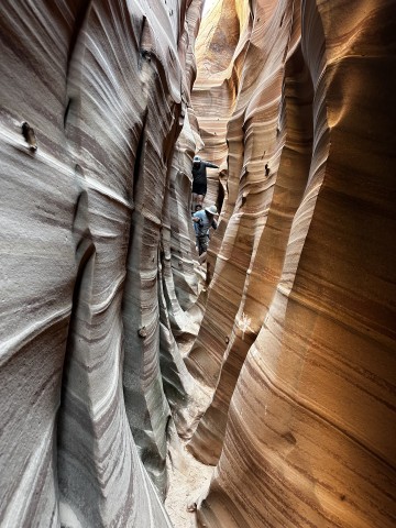 Visit From Escalante Zebra Slot Canyon Guided Tour and Hike in Boulder, Utah
