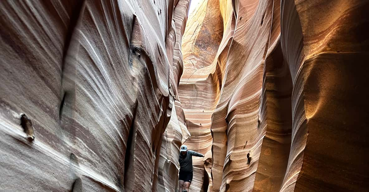 Zebra slot canyon trailhead grand staircase escalante sale