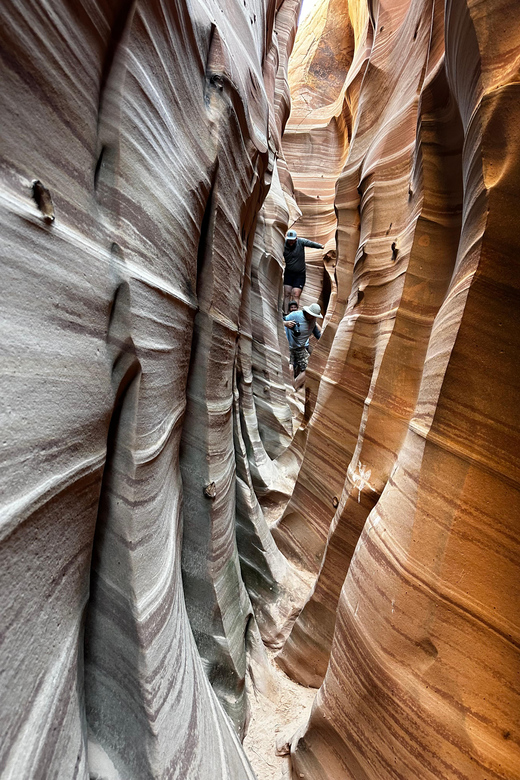 From Escalante: Zebra Slot Canyon Guided Tour and Hike GetYourGuide