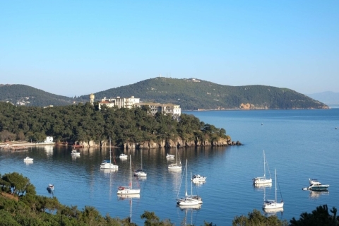 Istanbul : Visite des îles des Princes avec déjeuner et transfertsCircuit des îles Princes sans transfert à l'hôtel