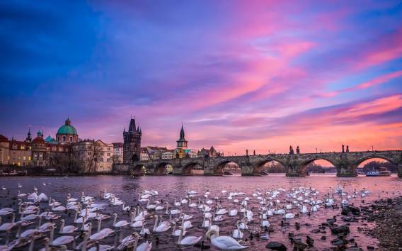 3-stündige Fototour zu Fuß in Prag