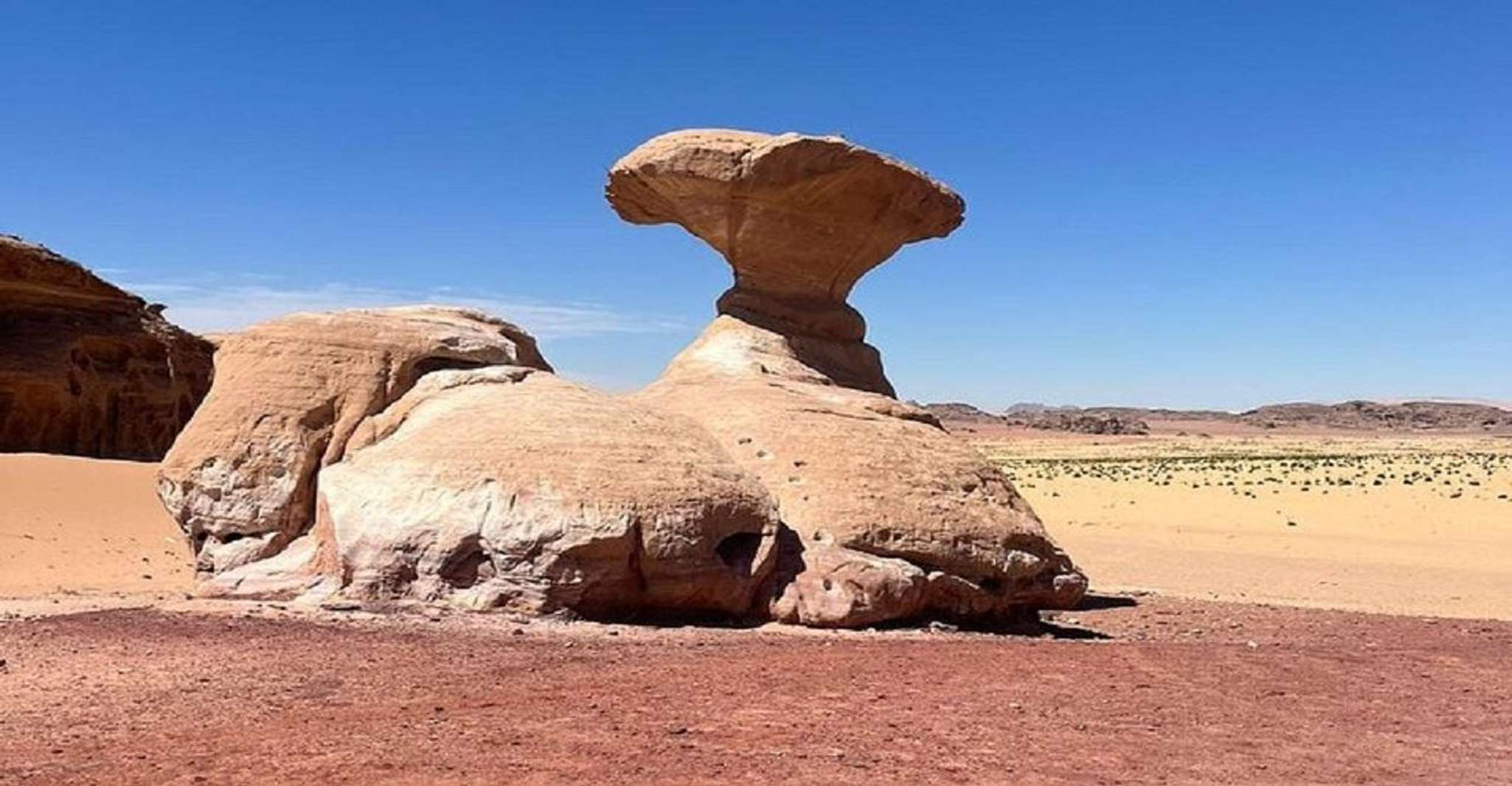 Da Amman, tour privato di un giorno a Petra & Wadi Rum - Hizvo
