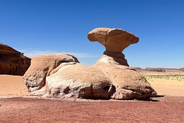 Excursión de un día a Petra y Wadi Rum desde AmmánPetra y Wadi Rum desde Ammán - sin entradas