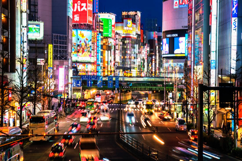 Tokyo: 10-hour Customizable Tour with Private Car 10-hour Customize Tour in a Sedan (1-3 Pax)