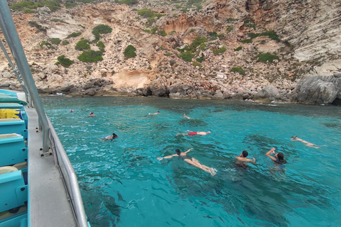 Desde Palma: tour en barco de 3 horas por la mañana para avistar delfines1049 Poliesportiu Rudy Fernandez Parada de autobús Recogida a las 9:55 AM