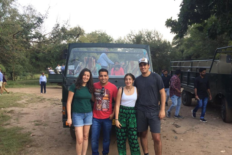 Z Delhi: Złoty Trójkąt i Ranthambore Tiger Safari 4 dni