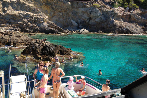 Depuis Palma : Après-midi d&#039;observation des dauphins en bateau13:00 Départ de l&#039;hôtel MLL Caribbean Bay