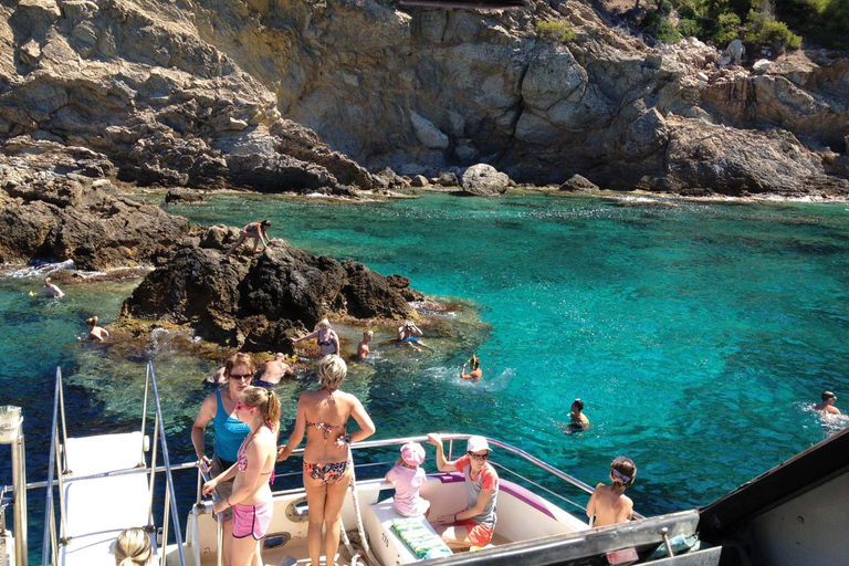 Depuis Palma : Après-midi d&#039;observation des dauphins en bateau13:00 Départ de l&#039;hôtel MLL Caribbean Bay