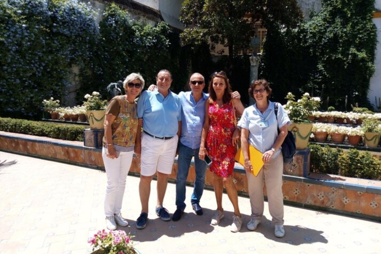 Séville : Visite privée personnalisée avec un guide localVisite à pied de 4 heures