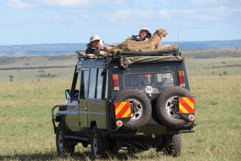 Traslado a Masai Mara desde Nairobi en 4X4 Land Cruiser Jeep