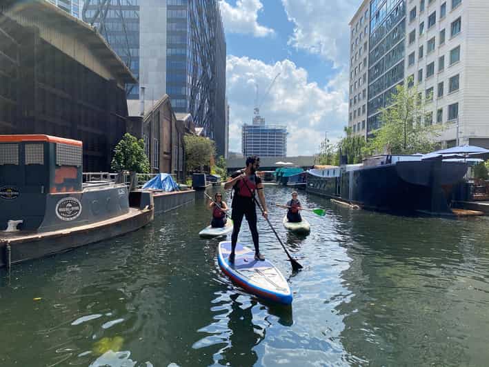 Stand Up Paddleboard Verleih in Paddington GetYourGuide
