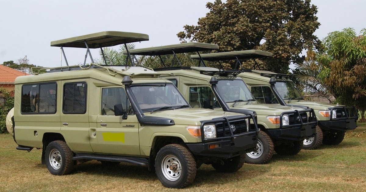 Nairobi Lufthavn 1 Vejs Transfer Til Maasai Mara Reservatet GetYourGuide   148 