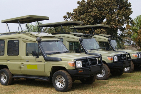 Masai Mara Transfer z Nairobi jeepem 4X4 Land Cruiser