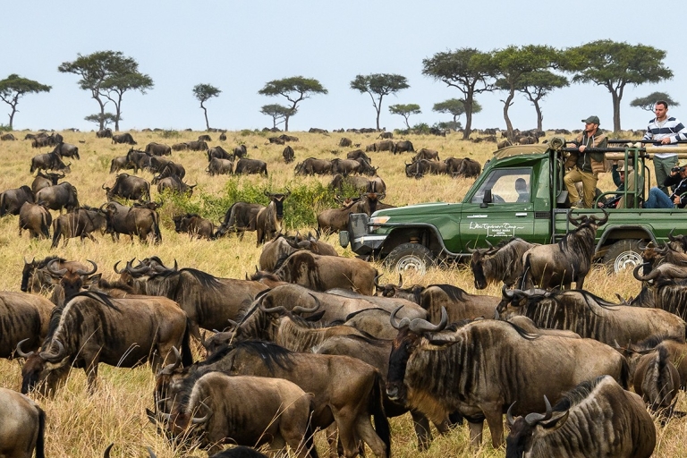 Masai Mara Transfer z Nairobi jeepem 4X4 Land Cruiser