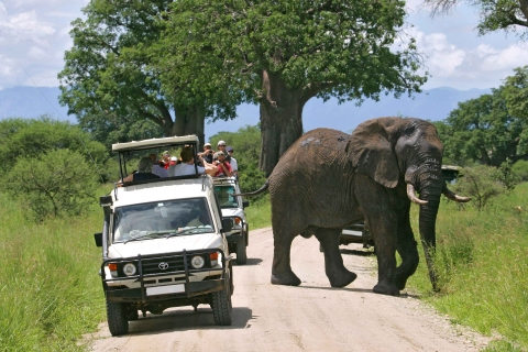 Traslado a Masai Mara desde Nairobi en 4X4 Land Cruiser Jeep