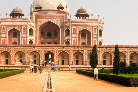 EXCURSION DE 8 JOURS DANS LE TRIANGLE D'OR AVEC LA FAUNE DE RANTHAMBORE