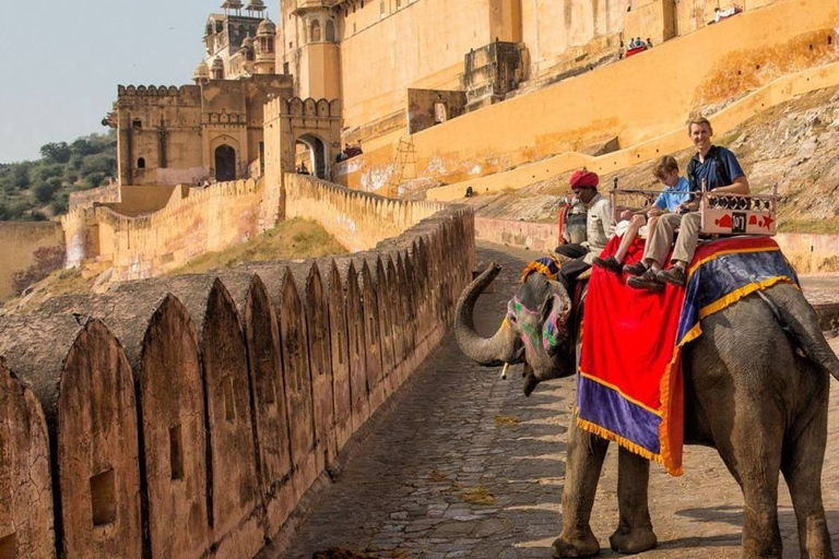 EXCURSION DE 8 JOURS DANS LE TRIANGLE D'OR AVEC LA FAUNE DE RANTHAMBORE