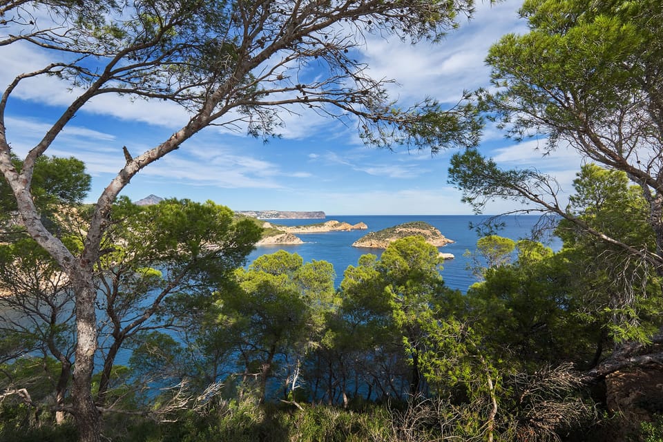 Jávea Scooter Rental GetYourGuide