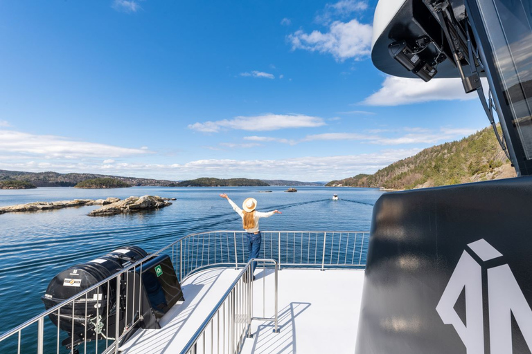 Crucero eléctrico por el fiordo OslofjordCrucero eléctrico por el Oslofjord