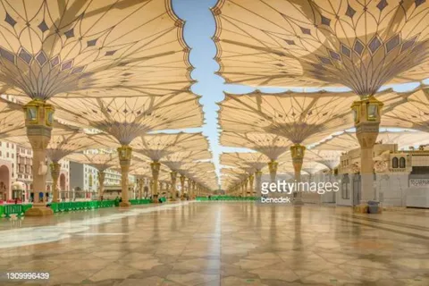 Medina: Tagestour mit Abholung vom Hotel