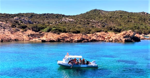 Von Olbia aus: RIB-Tour zum Capo Figari mit Delphin-Sichtung