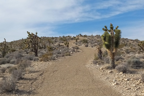 Excursions en quad à Las VegasDepuis Las Vegas : Aventure quad hors route